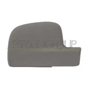 VG9177413 PRASCO