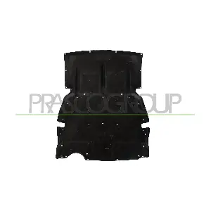 BM1251900 PRASCO