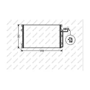 PRASCO VV220C003