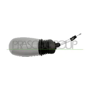 FT1337124 PRASCO