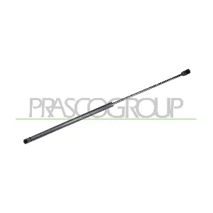 FD4289055 PRASCO
