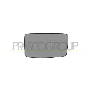 FT9197503 PRASCO