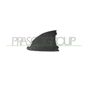 OP4181231 PRASCO