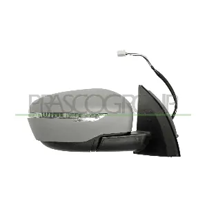 DS7127313 PRASCO