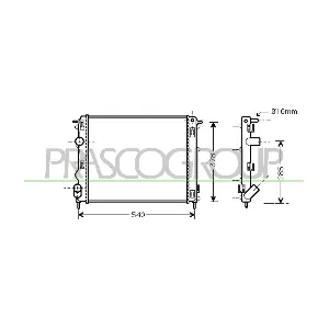 DS917R005 PRASCO