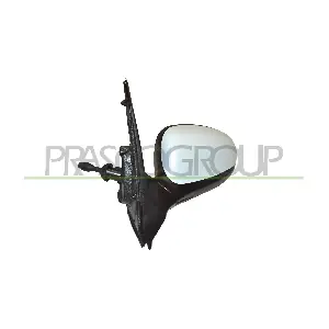 FD0087124P PRASCO