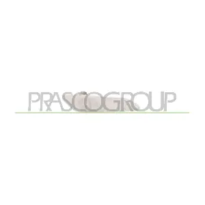 PRASCO AA0804141
