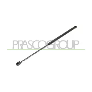 PG3209055 PRASCO