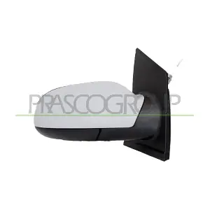 VG3307013 PRASCO