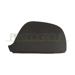 VG9197404 PRASCO