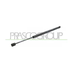 FD4209065 PRASCO