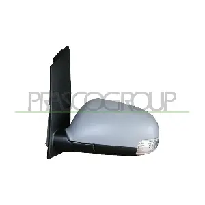 VG7157314 PRASCO