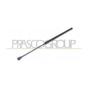 DS7109055 PRASCO