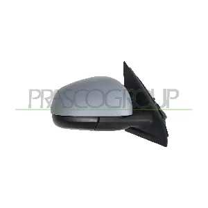 RN2027013 PRASCO