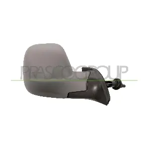 PG9107113 PRASCO