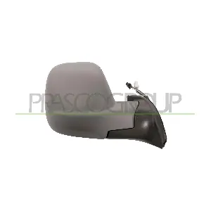 PG9107223 PRASCO