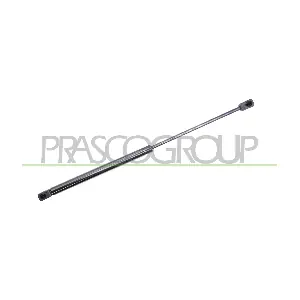 CI3249055 PRASCO
