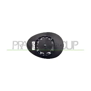 MN3067504 PRASCO