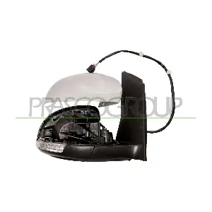 VG1017313 PRASCO