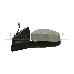 FD1107344P PRASCO