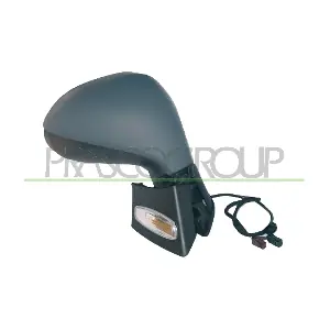 PG3207333P PRASCO