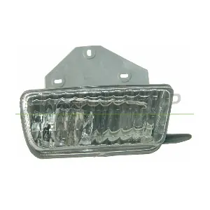 VG9134413 PRASCO