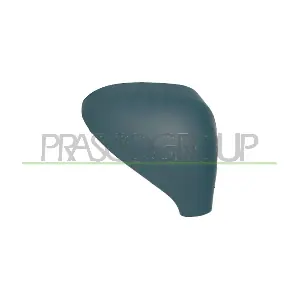 PG3207413 PRASCO