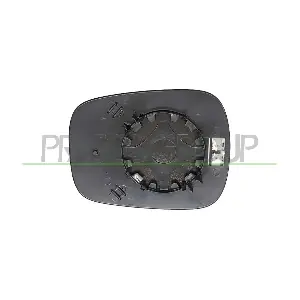RN9177510 PRASCO
