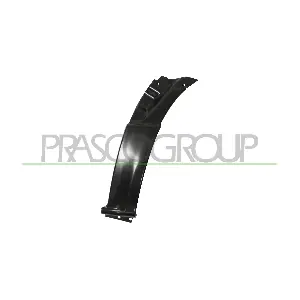 VG9523005 PRASCO