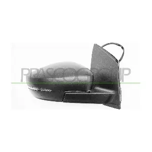 VG0237135P PRASCO