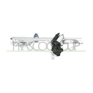 RN308W036 PRASCO