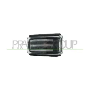 VV0314141 PRASCO