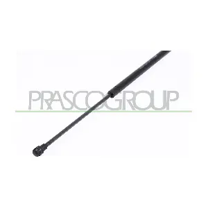 OP3059053 PRASCO