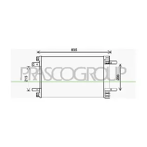 PG428C001 PRASCO