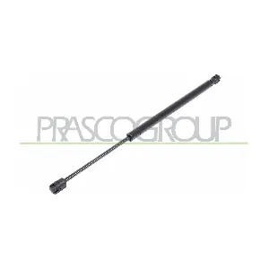 FT3409065 PRASCO