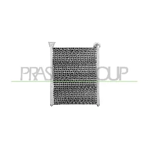 CI427H001 PRASCO