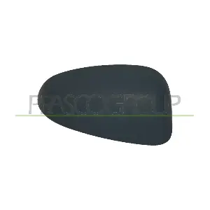 FT1387403 PRASCO