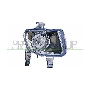 FT3424423 PRASCO