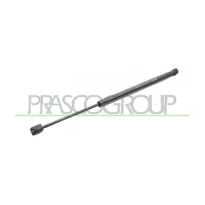 FT0609055 PRASCO