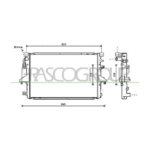 VG919R001 PRASCO