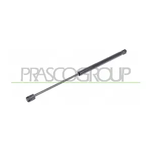 VG0169055 PRASCO