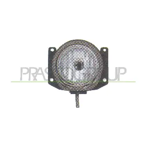AA0904413 PRASCO