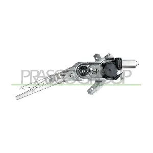 DS917W021 PRASCO