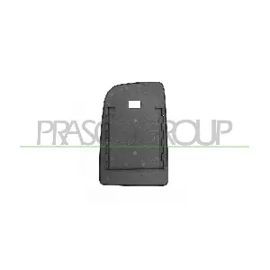 ME9197533 PRASCO