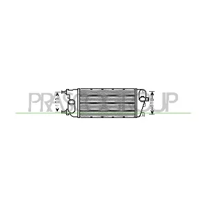FT124N002 PRASCO
