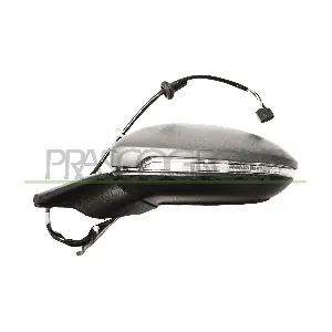 VG4007318P PRASCO