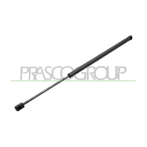 PRASCO VG4509055