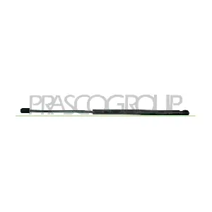 OP0289055 PRASCO