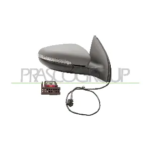 VG0387313 PRASCO