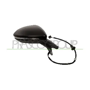 VG4007311P PRASCO